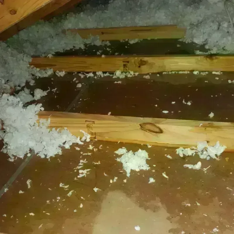 Attic Water Damage in El Ojo, PR